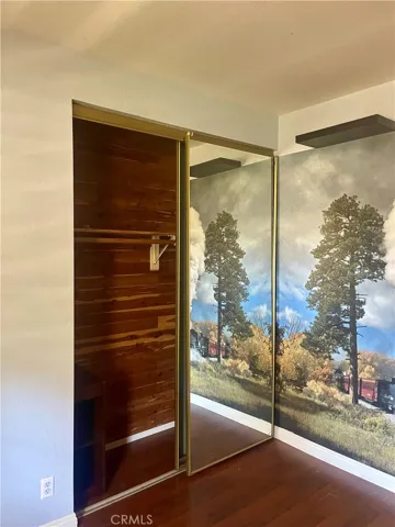 2nd bedroom closet