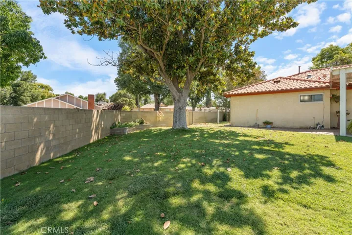 Side Yard