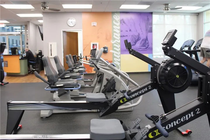 3 Professional Gyms with Personal Training