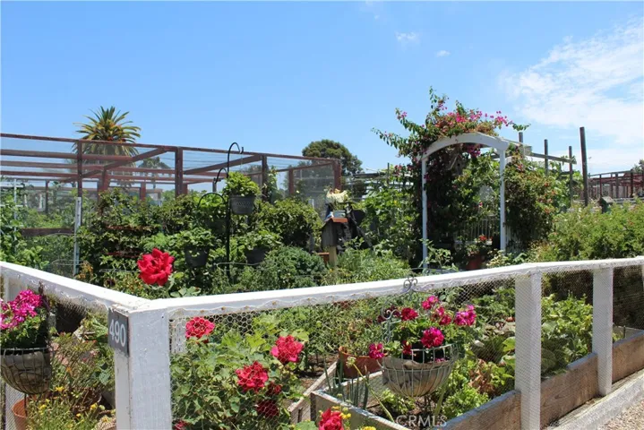Rent a Garden Plot