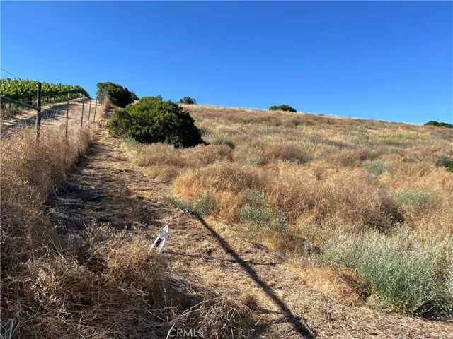 side property line