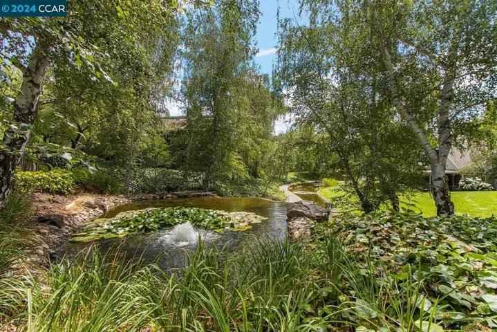 Pond with a waterfall