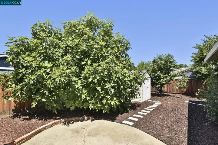 115 Edythe St, Livermore, California 94550