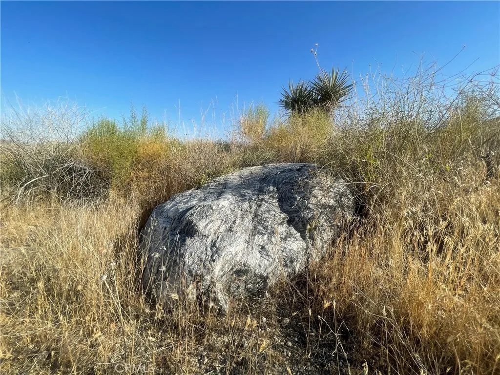 Gorgeous rocks and desert flora on this parcel.