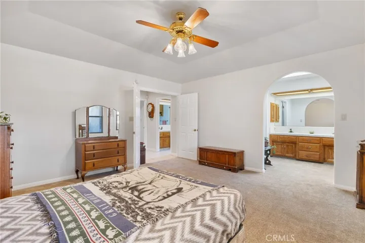Primary Bedroom: opposite view, towards primary bathroom & large walk-in closet through arch.