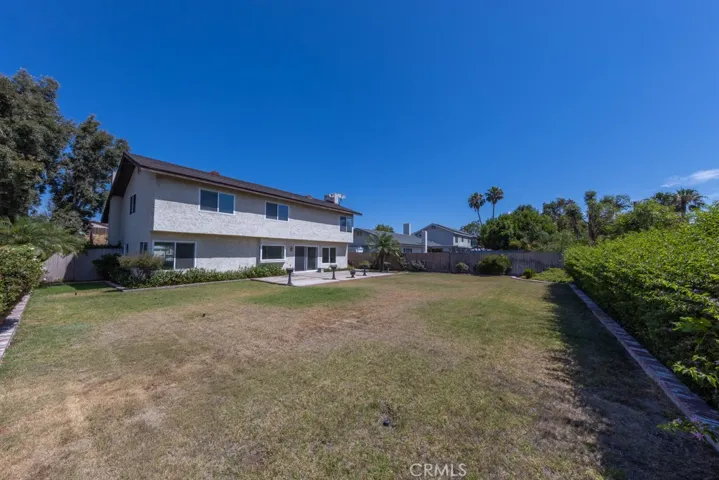 Large Backyard