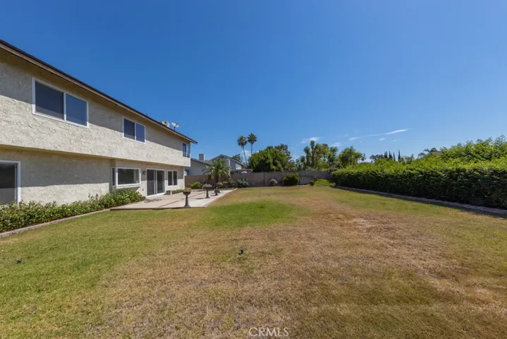 Large Backyard