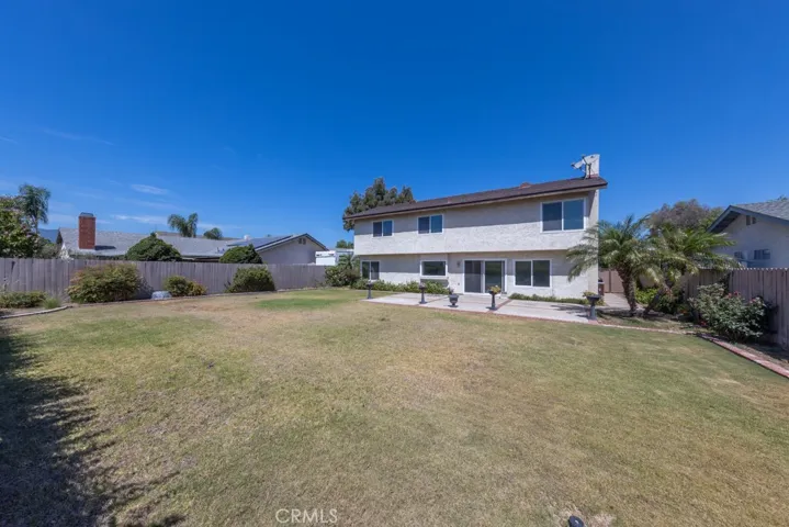 Large Backyard
