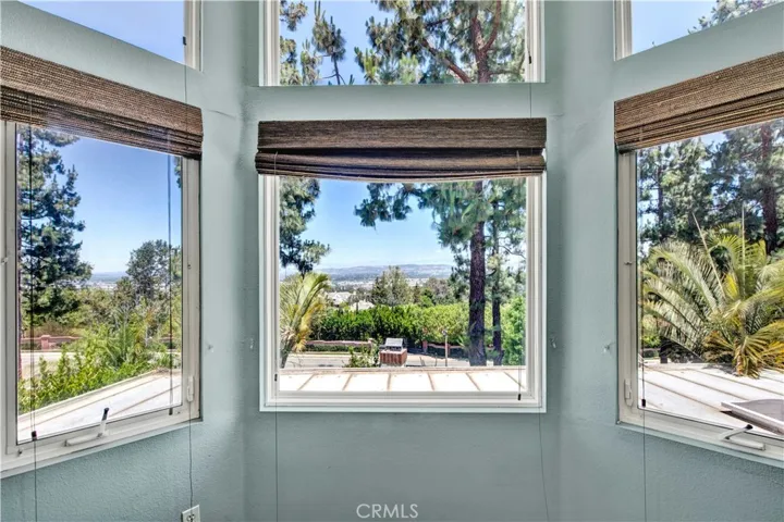 dramatic windows with custom coverings