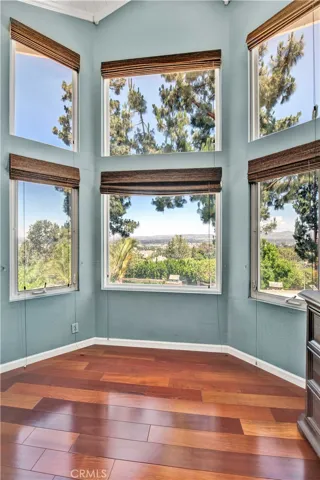 dramatic windows