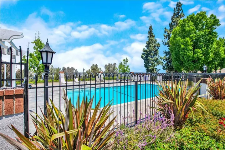 Pool over looking the beautiful view