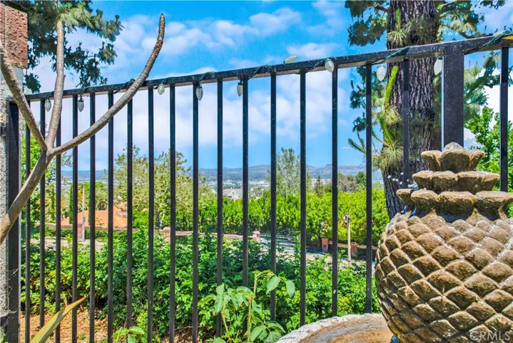 Wrought iron fencing