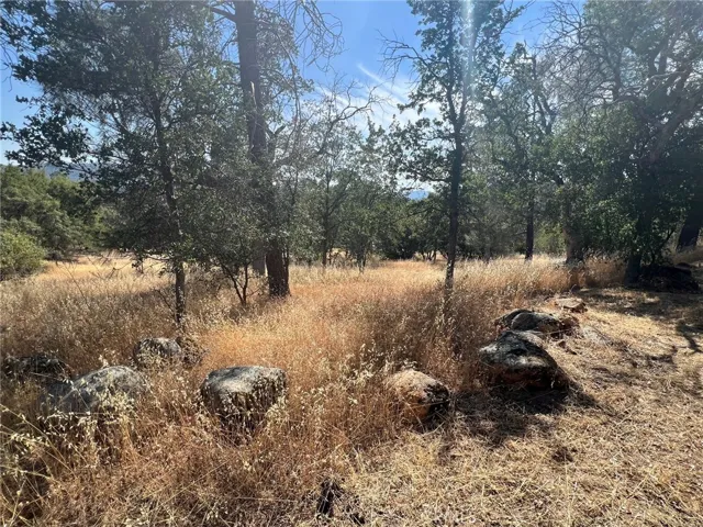 31040 Wyle Ranch Way, North Fork, California 93643
