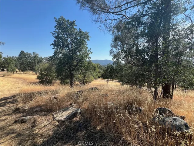 31040 Wyle Ranch Way, North Fork, California 93643