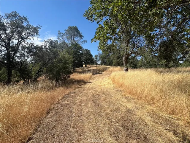 31040 Wyle Ranch Way, North Fork, California 93643