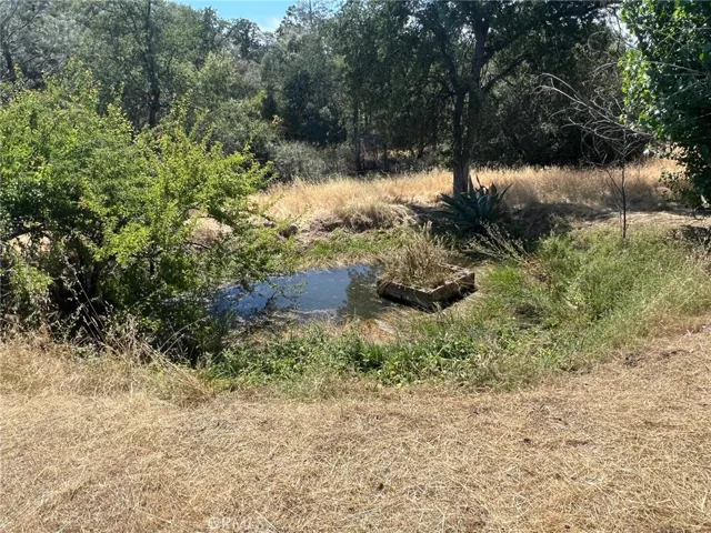 31040 Wyle Ranch Way, North Fork, California 93643