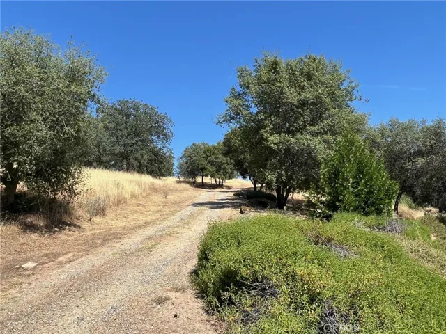 31040 Wyle Ranch Way, North Fork, California 93643