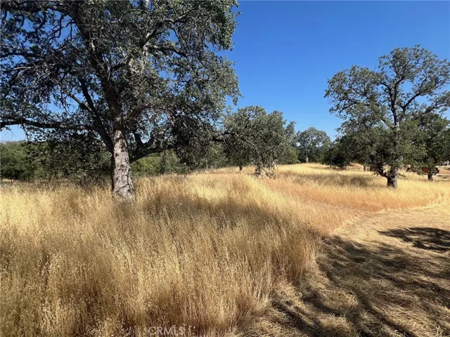 31040 Wyle Ranch Way, North Fork, California 93643