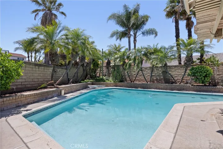 Backyard pool and spa