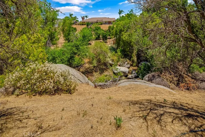 creek not included in the sale
