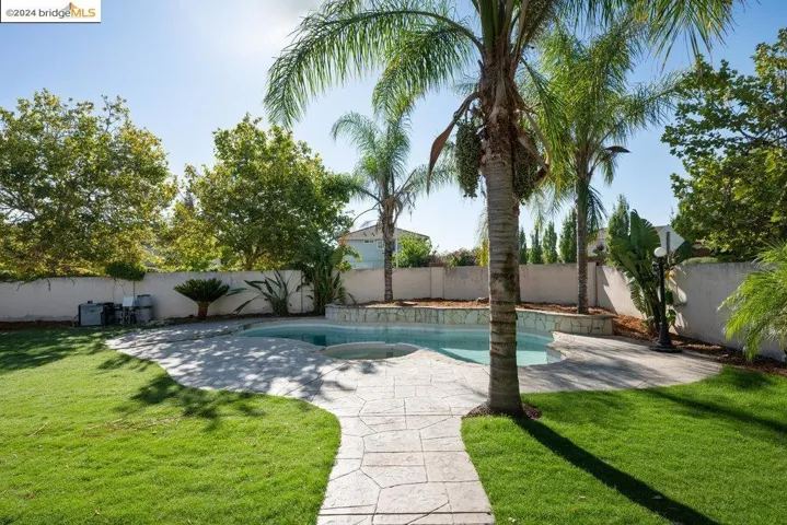 Swimming Pool and Spa