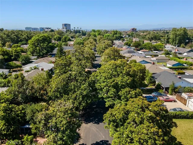 Look how green this street and neighborhood is!