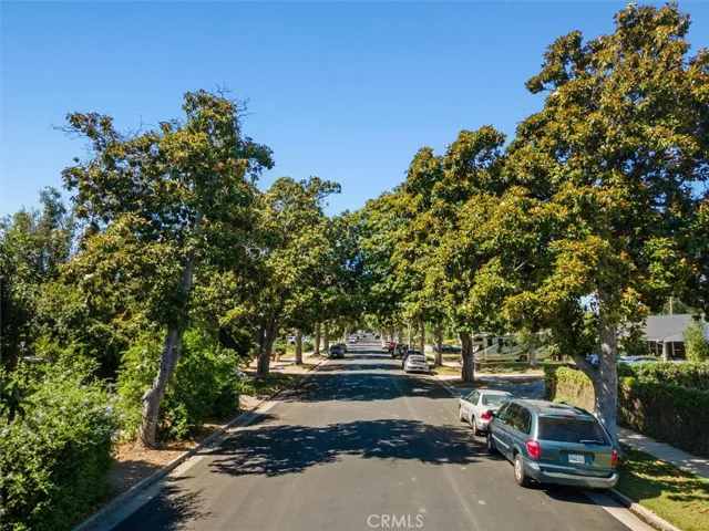 Love this magnolia tree lined street.