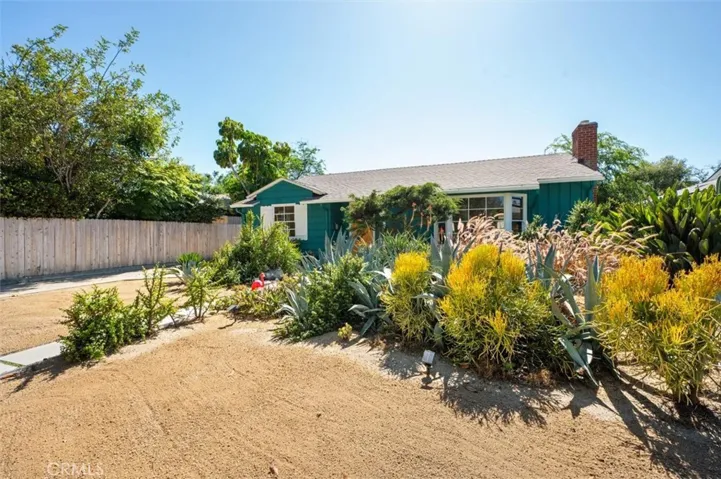 Established Juniper, bird of paradise, aloe, agave, jade, matchsticks and much more.