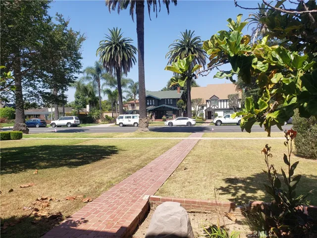 Front Yard