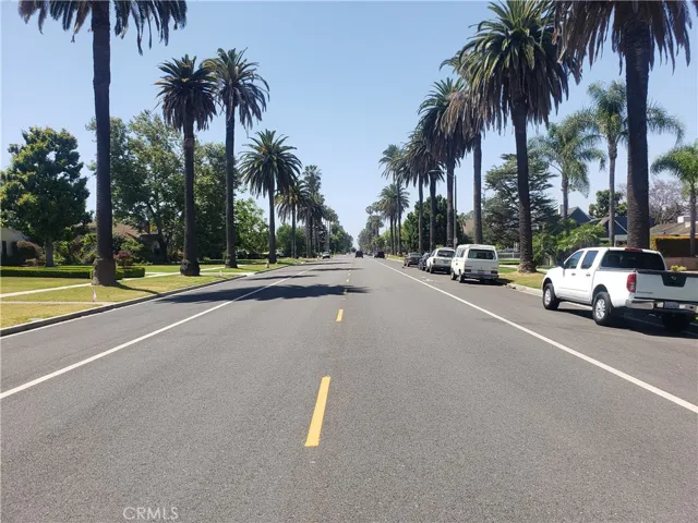 Beautiful Street
