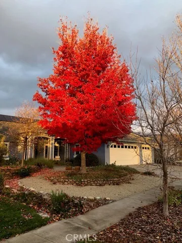 Beautiful Fall Color!