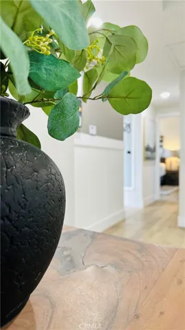 230 E Brentwood Avenue, Orange, California 92865