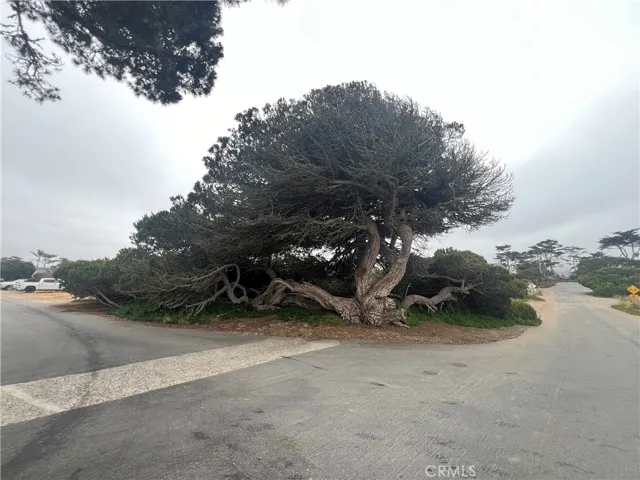 513 Santa Ysabel Avenue, Los Osos, California 93402