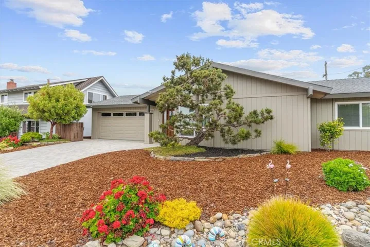 Easy care landscaping