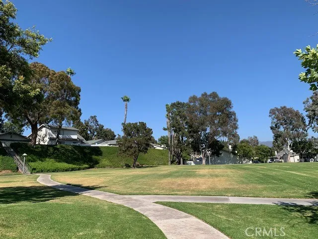 Large Grass Field