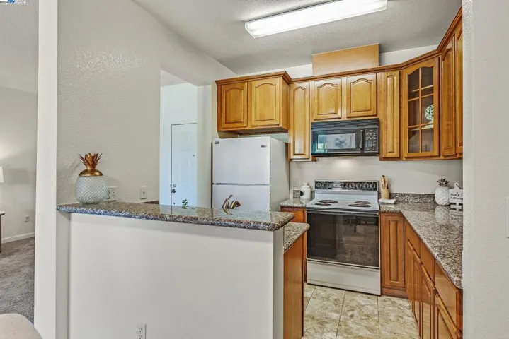 3695 Stevenson Blvd E205, Fremont, California 94538-2371