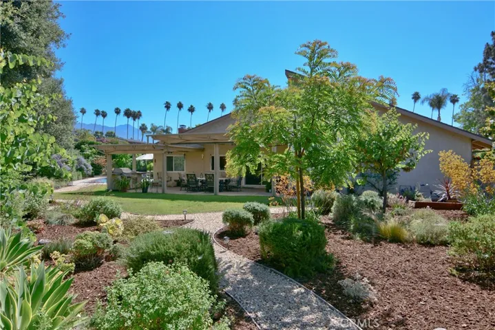 view from yard to house
