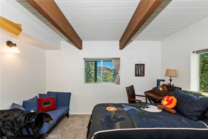 Lower level bedroom with lake views
