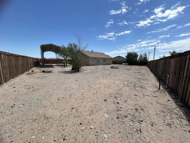 Back Yard