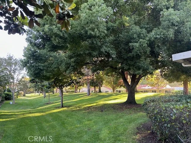 Peace & Quiet Rear Yard Setting for Rear Patio - Great for Entertaining or Just relaxing!