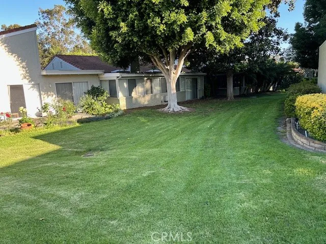 Incredible Large Park-Like Rear Yard