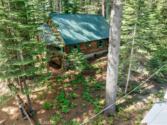 1137 Cedar Street, Fish Camp, California 93623