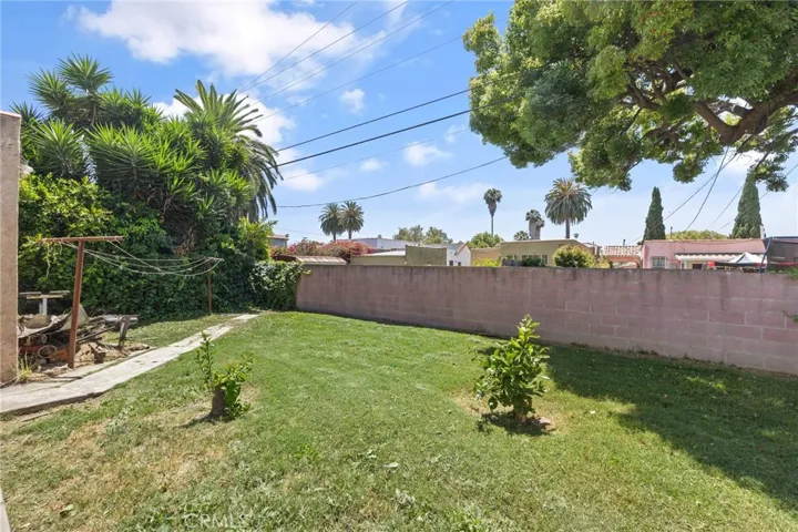 Back yard