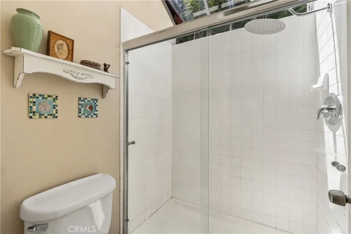 Primary. bath with skylight
