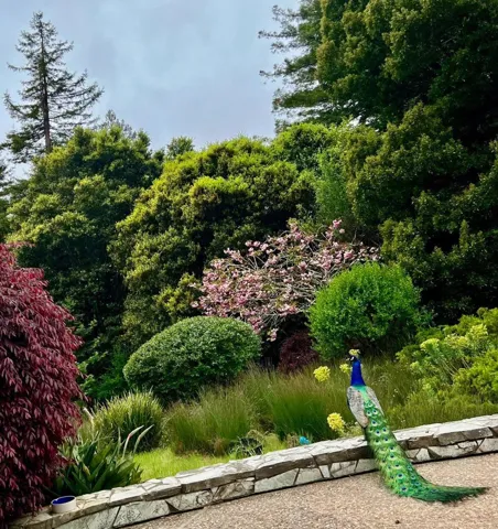 3684 Misty Lane, Aptos, California 95003