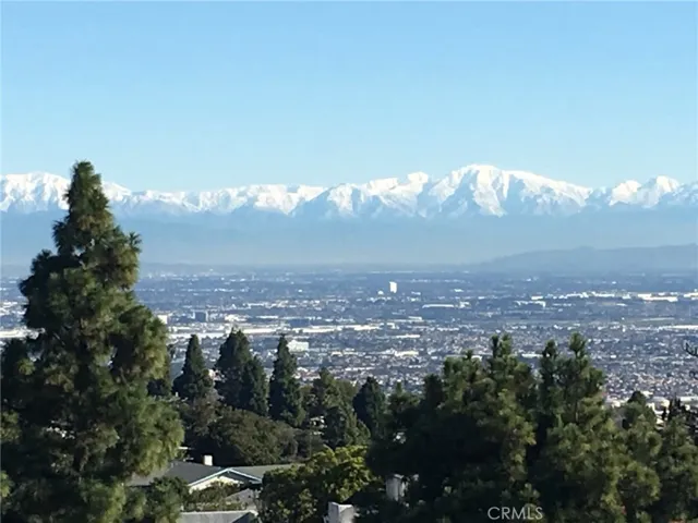 Winter View