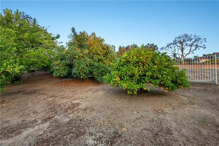 2950 Amber Vista Way, Fallbrook, California 92028