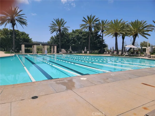 Association Lap Pool