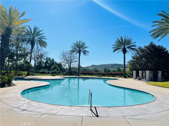 Resort Style Pool