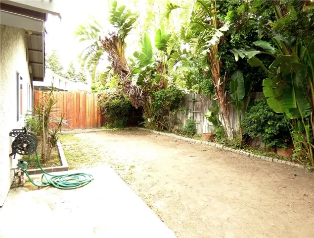 Back yard looking left